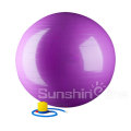 Fitness Ball Sport Equipment Fit Ball Yoga Ball